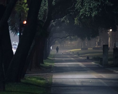 A person taking a calm evening walk in a park